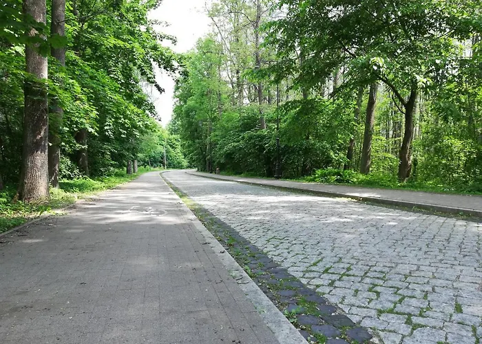 Trampa Centrum Z Garazem 400m Do Plazy